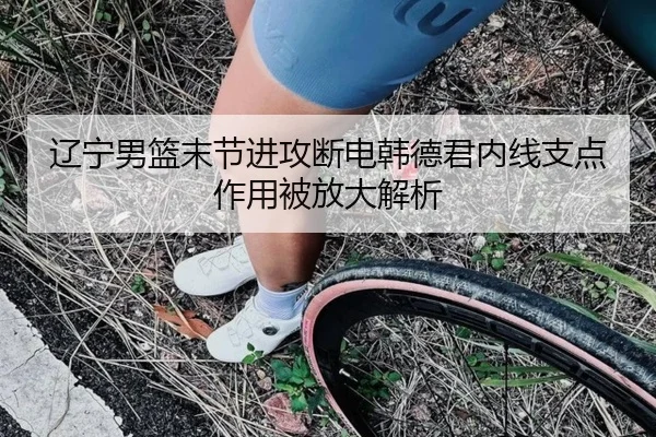 辽宁男篮末节进攻断电韩德君内线支点作用被放大解析